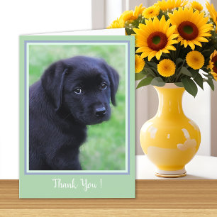Thank You Black Labrador Puppy - Cute Dog Dankeskarte
