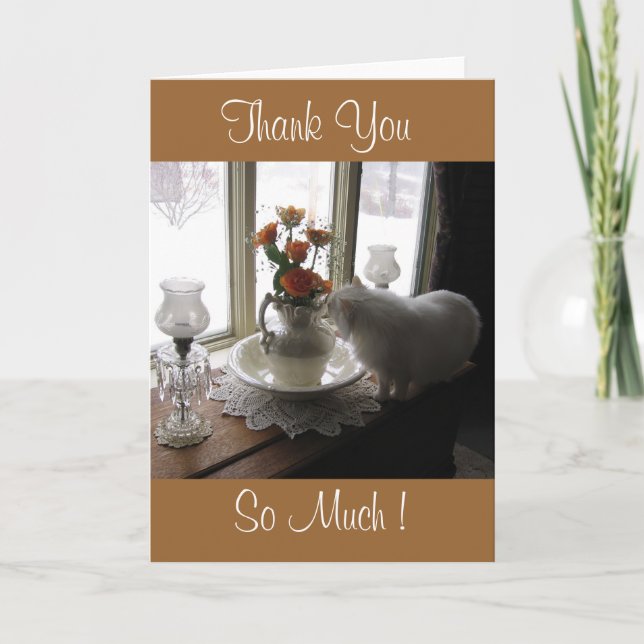 Thank You Bugsy/rosa Orange Dankeskarte (Vorderseite)