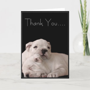 Thank You Bulldog Puppies Greeting Card Dankeskarte
