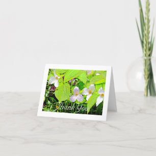 THANK YOU CARD/FLORAL/ TRILLIUM DANKESKARTE