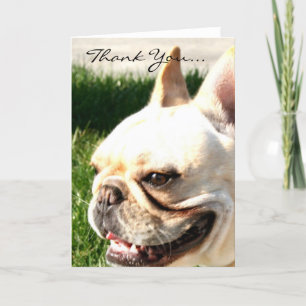 Thank you French bulldog greeting card Dankeskarte