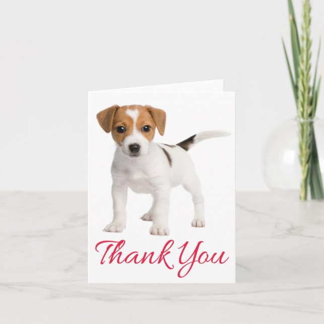 Thank You Jack Russell Terrier Puppy Dankeskarte (Vorderseite)