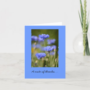 Thank You Note Card with Blue Bachelor Buttons Dankeskarte