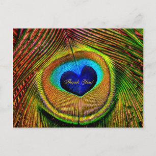 Thank You Peacock Feathers Eye of Love Postkarte