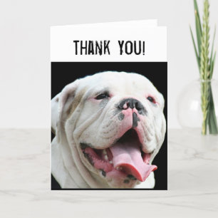 Thank You White Bulldog greeting card Dankeskarte