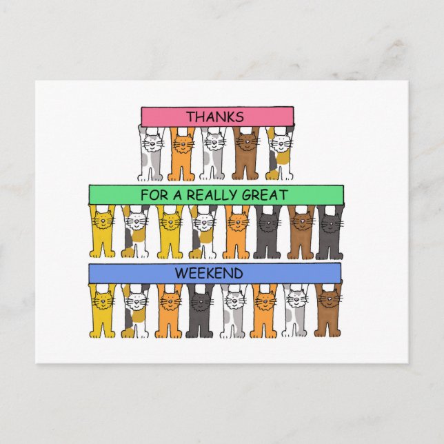 Thanks for a Great Weekend Cartoon Cats Postkarte (Vorderseite)