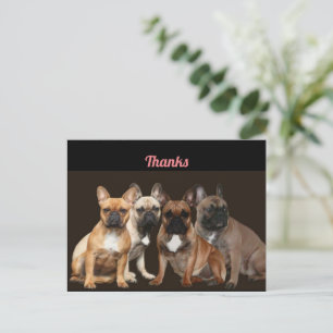 Thanks Französische Bulldogge Postkarte