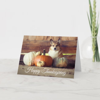 Thanksgiving Corgi Karte