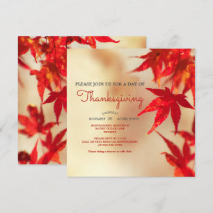 Thanksgiving Red Autumn Leaves Border Template Einladung