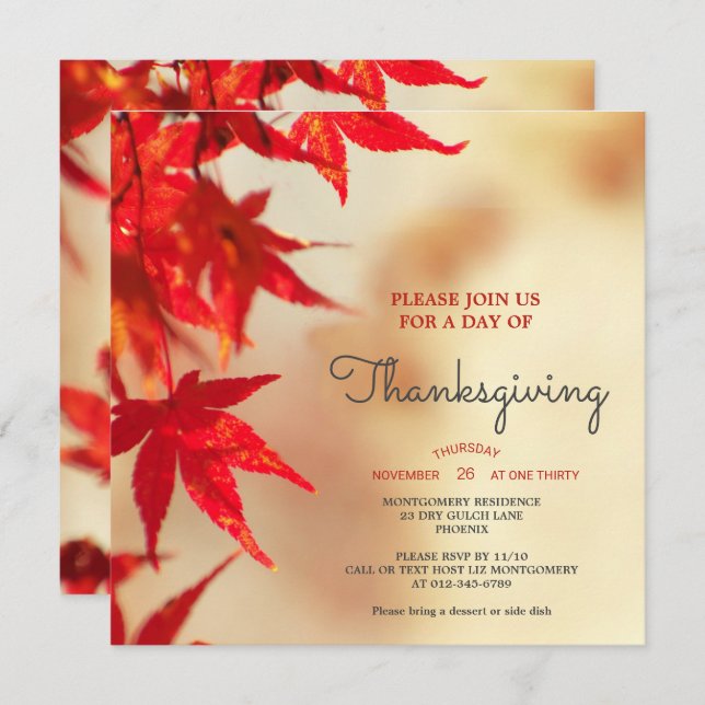 Thanksgiving Red Autumn Leaves Border Template Einladung (Vorne/Hinten)