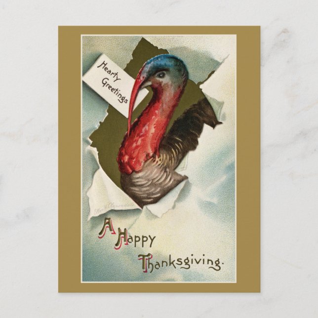  Thanksgiving turkey vintage art drawing Postkarte (Vorderseite)
