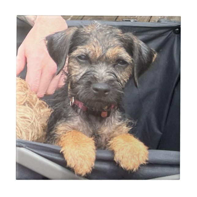 Thatch Fliese (Vorderseite)