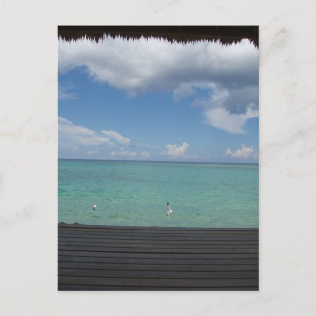 Thatched Cabana Postcard Postkarte (Vorderseite)