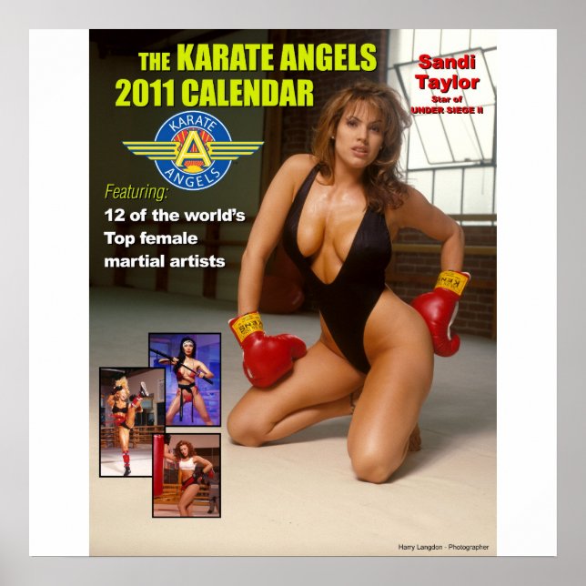The_2011_Karate_Angels_Calendar Poster (Vorne)