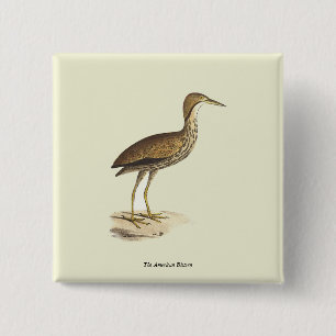 The American Bittern (Botaurus lentiginosus) Bird Button