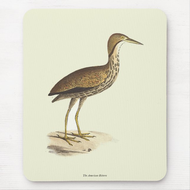 The American Bittern (Botaurus lentiginosus) Bird Mousepad (Vorne)