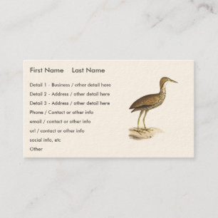 The American Bittern (Botaurus lentiginosus) Bird Visitenkarte