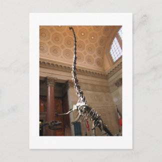 The American Museum of Natural History, NYC Postkarte