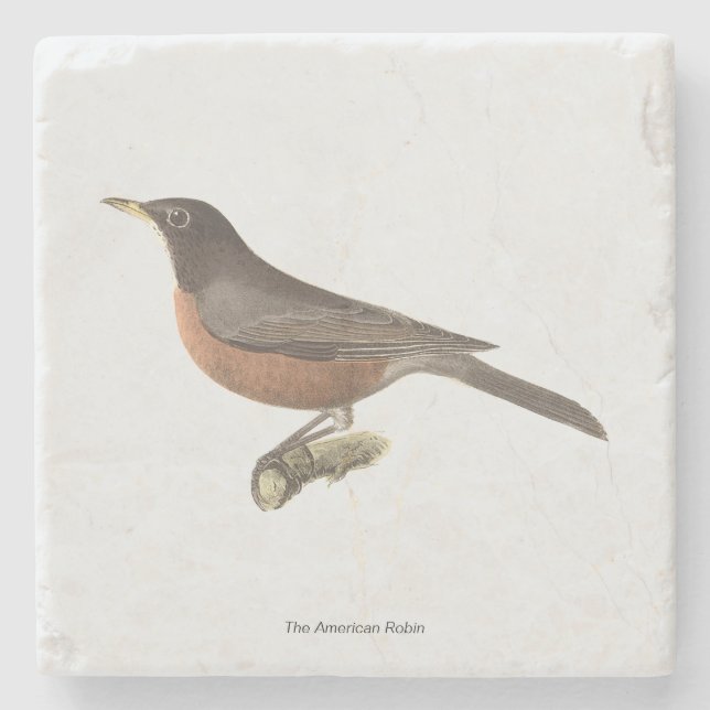 The American Robin (Turdus migratorius) NY Birds Steinuntersetzer (Vorderseite)