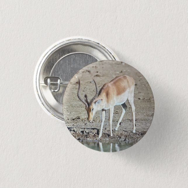 The antelope,  button (Vorne & Hinten)