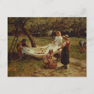 The Apple Gatherers, 1880 Postkarte
