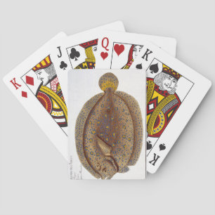 The Argus Flounder Spielkarten