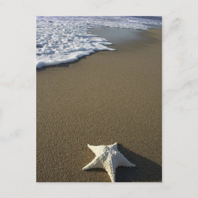 The Beach Post Card Postkarte (Vorderseite)