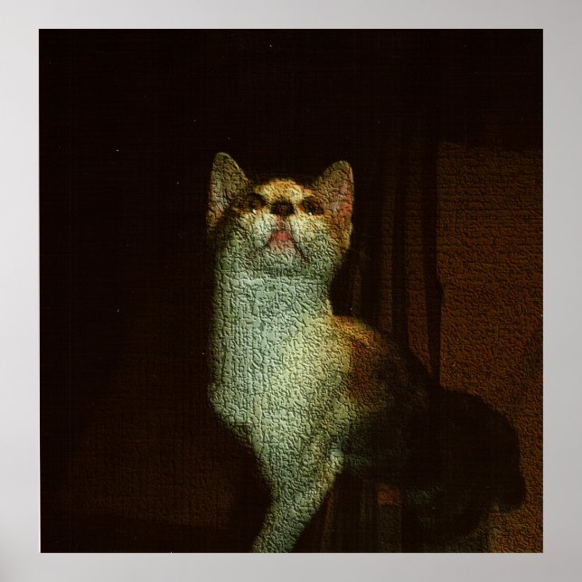 The Beatiful Sweetie Poster (Vorne)