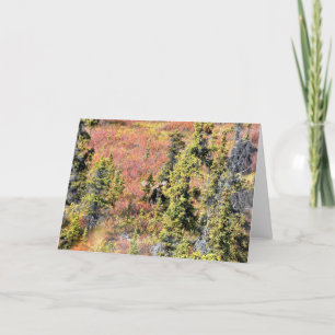 The Beauty of Chisana Karte