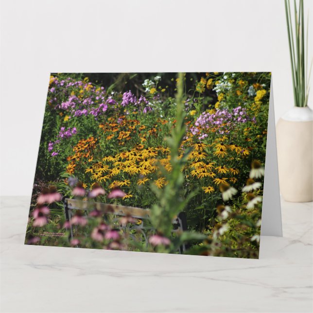 The Bench in the Zelt Gardens Karte (Vorderseite)