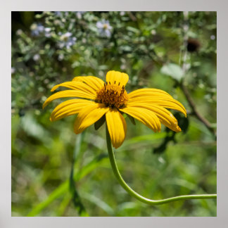 The Bend Floral Poster