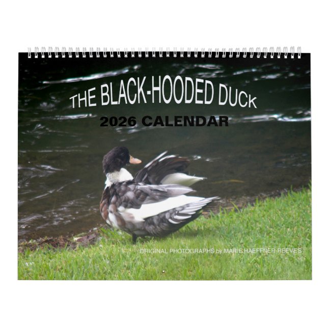 THE BLACK-HOODED DUCK 2026 CALENDAR KALENDER (Titelbild)