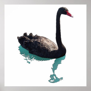 The Black Swan Poster