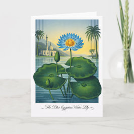 The Blue Egyptian Water Lily — Modern Botanical Re Karte