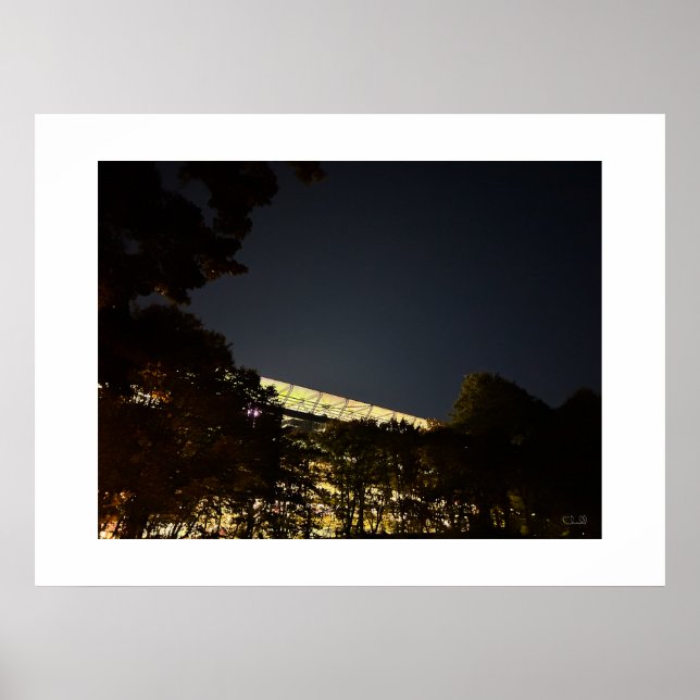 "The Bosuil Stadium by Night" - Poster (Vorne)