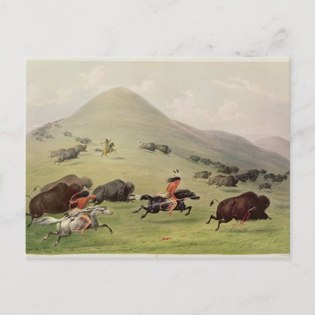 The Buffalo Hunt, c.1832 Postkarte (Vorderseite)