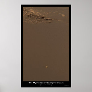 The Bunny On Mars â€"Was ist das? Poster
