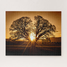 The Burst of Sunset - 16x20 - 520 Stk Puzzle
