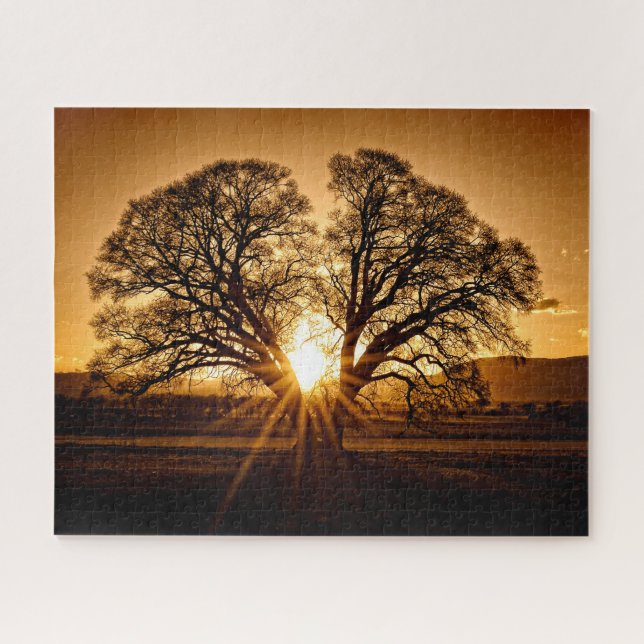The Burst of Sunset - 16x20 - 520 Stk Puzzle (Horizontal)