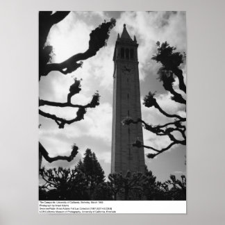 The Campanile, UC Berkeley, 1965 Poster