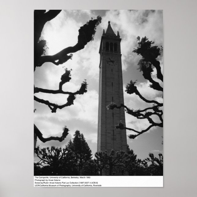 The Campanile, UC Berkeley, 1965 Poster (Vorne)