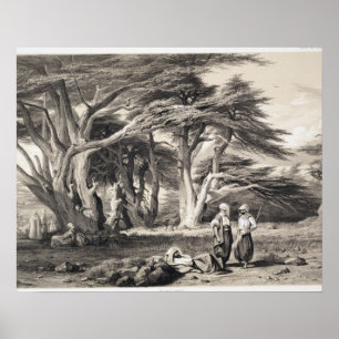 The Cedars of Lebanon, engraved by Freeman (sepia Poster