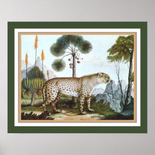 "The Cheetah" 1886 von Aloys Zotl Poster