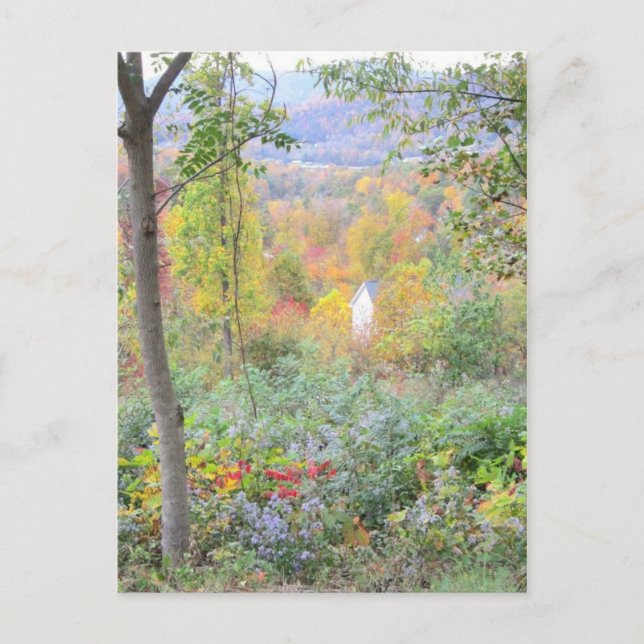 The Colors of a Mountain Postkarte (Vorderseite)