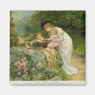 The Coming Nelson, from the Pears Annual, 1901 Magnet