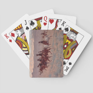 The Cowpunchers (w/c on paper) Spielkarten