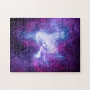 The Crab Nebula Puzzle