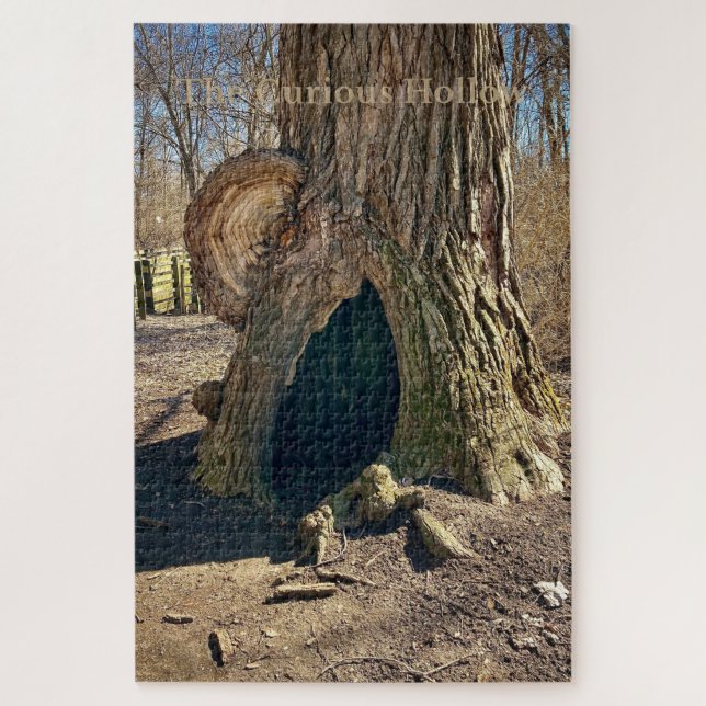 The Curious Hollow  Puzzle (Vertikal)