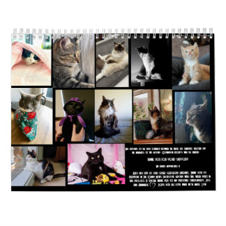 The Daily Mews, Cat Wohltätigkeit Calendar 2025 Kalender