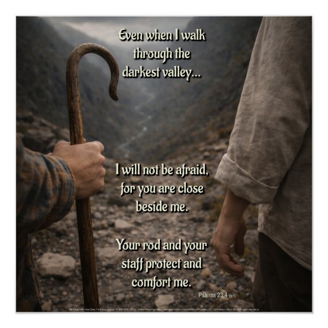 The darkest valley poster (Vorderseite)